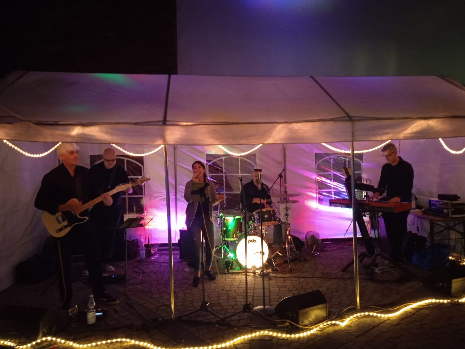 LCB_Selters2025_1 Künstler, Musiker, Bassist - www.wilfriedbass.de