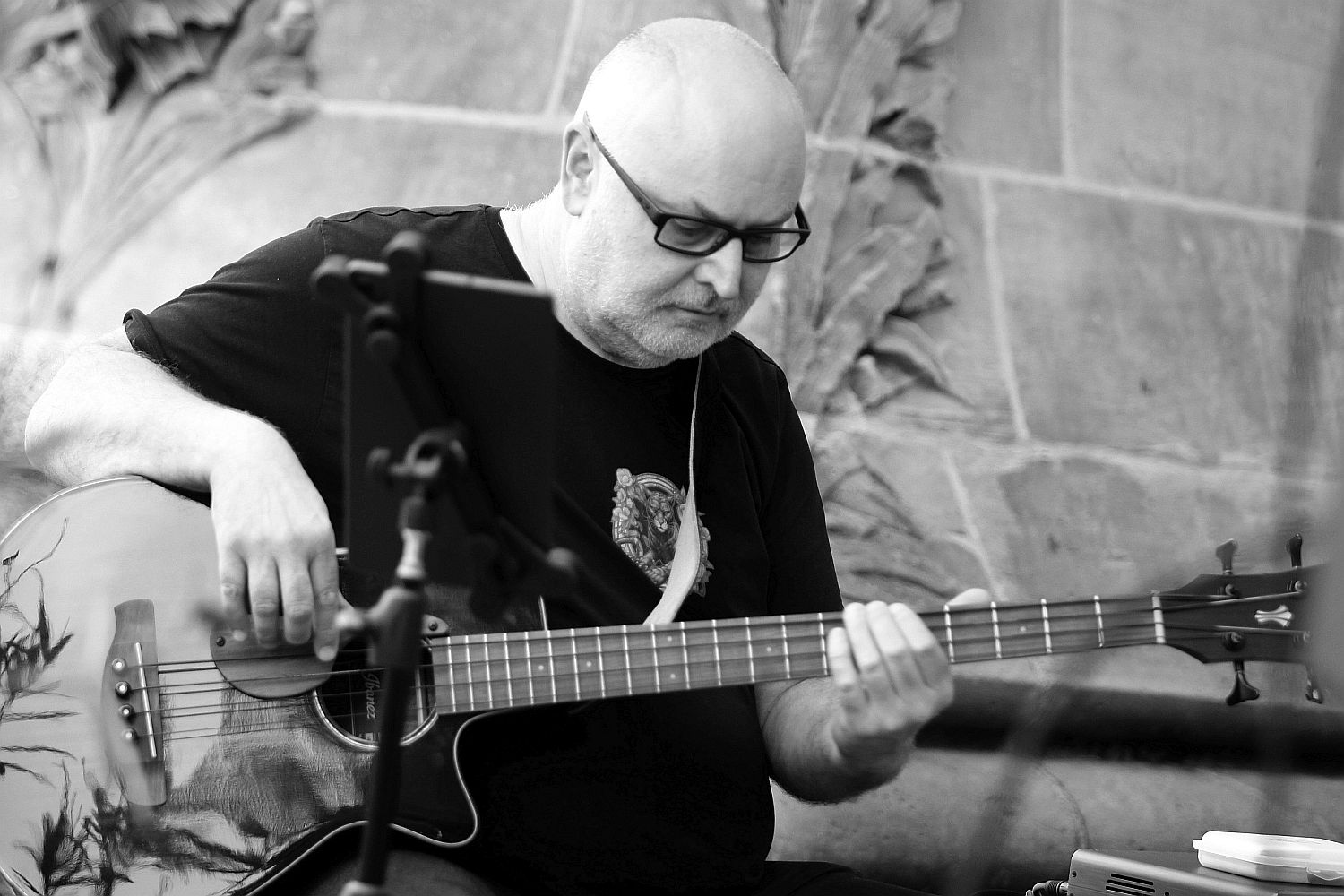 Künstler, Musiker, Bassist - www.wilfriedbass.de